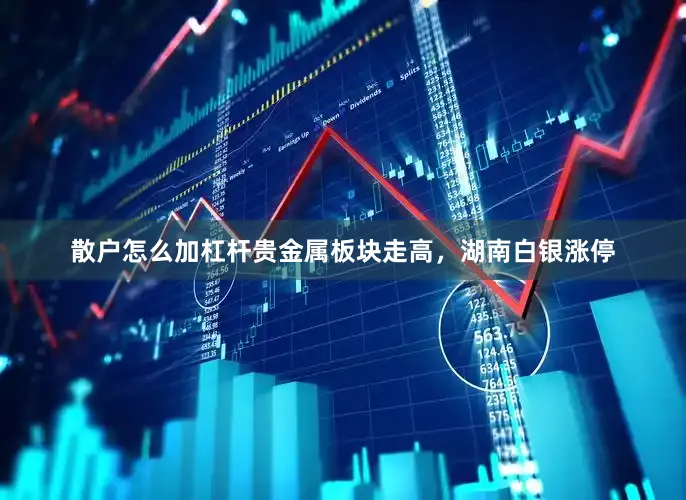 散户怎么加杠杆贵金属板块走高，湖南白银涨停