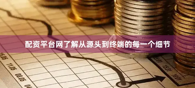 配资平台网了解从源头到终端的每一个细节